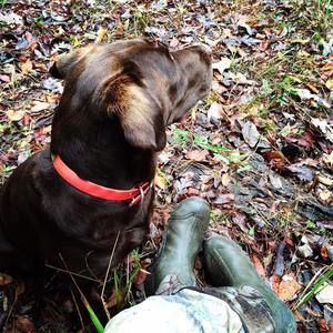 Meet your Posher, Shawn